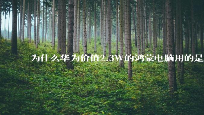 为什么华为价值2.3W的鸿蒙电脑用的是美国西数的SN740固态硬盘？
