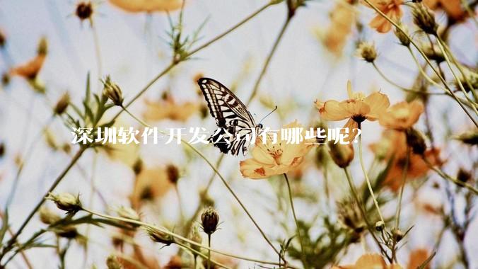 深圳软件开发公司有哪些呢？