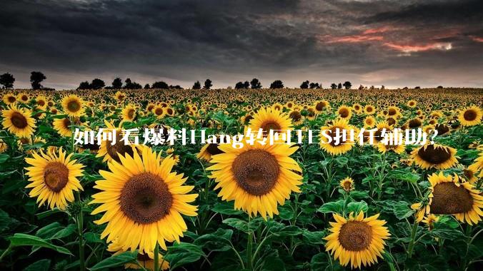 如何看爆料Hang转回TES担任辅助？