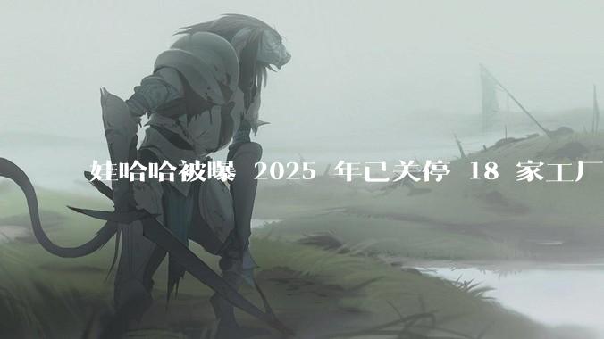 娃哈哈被曝 2025 年已关停 18 家工厂，此前曾回应纯净水由今麦郎代工，娃哈哈到底在布局什么？